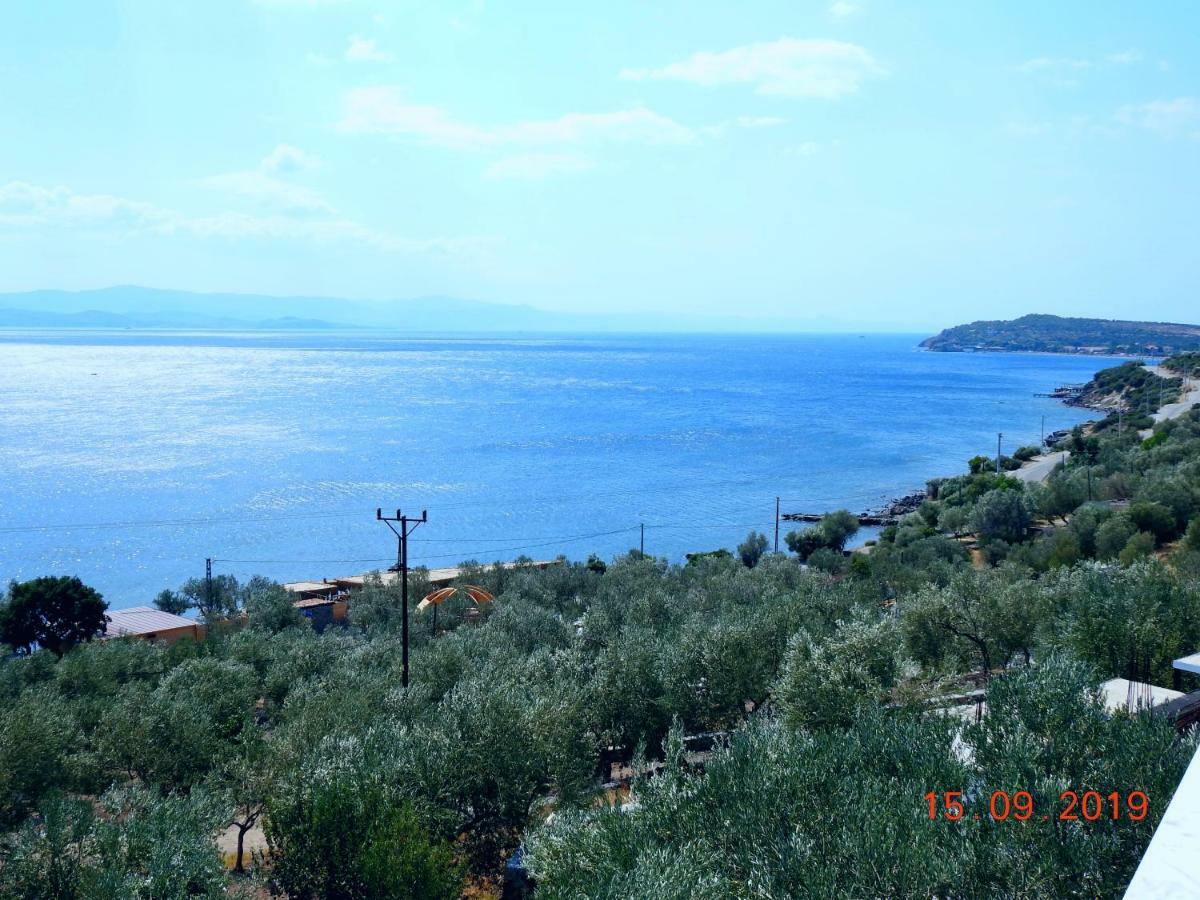 Assos Nazan Motel Restoran Beach Sokakağzı Dış mekan fotoğraf