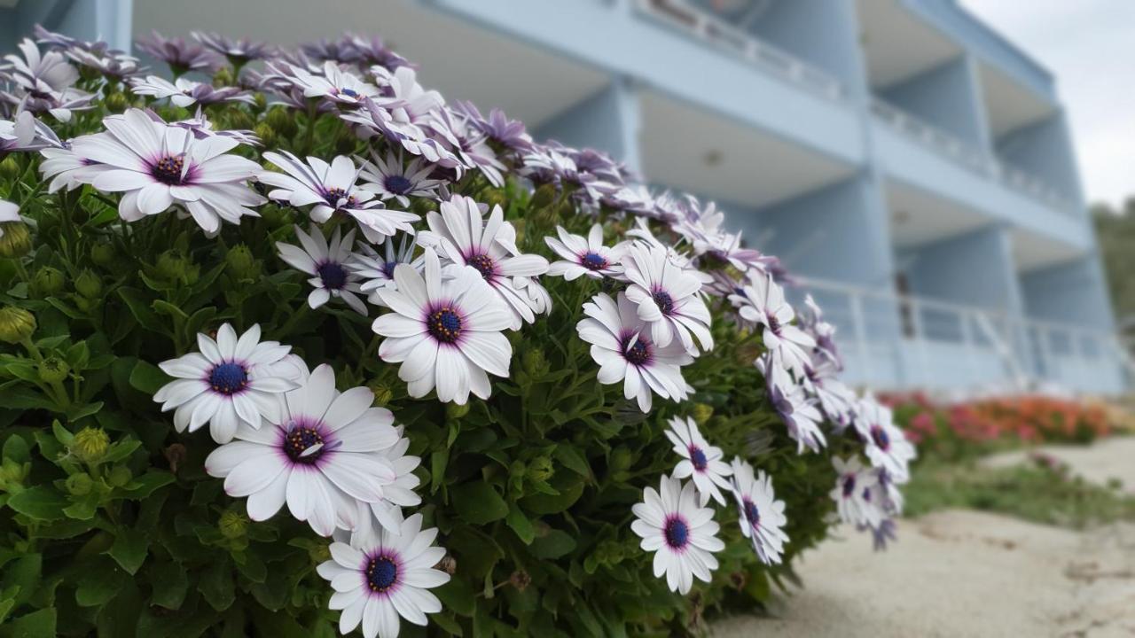Assos Nazan Motel Restoran Beach Sokakağzı Dış mekan fotoğraf